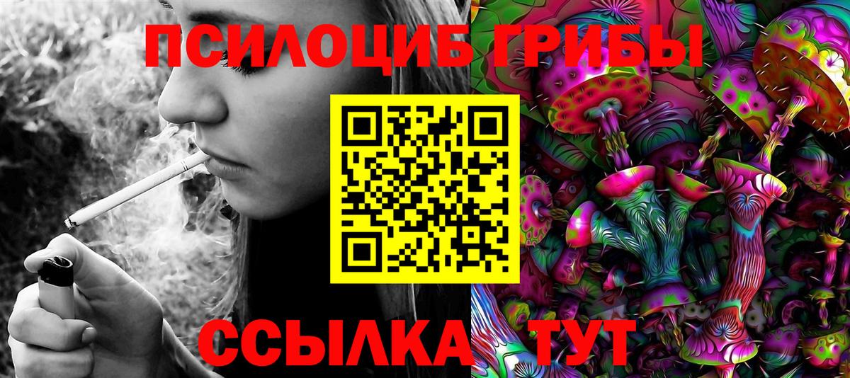 Псилоцибиновые грибы Cubensis  Галлюциногенные грибы прущие грибы  Красноярск  Вход с VPN 